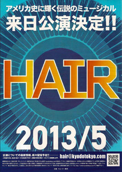 Hair2013jp.jpg